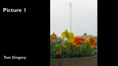 Slide19