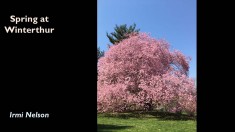 Slide41