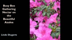 Slide54
