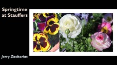 Slide61
