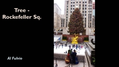Slide14