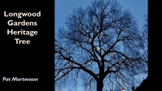 Slide26