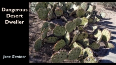 Slide18