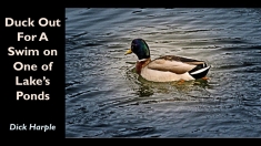 Slide22 Slide22