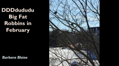 Slide9