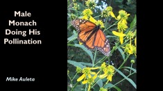 Slide3