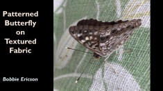 Slide15