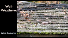 Slide31