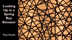 Slide45