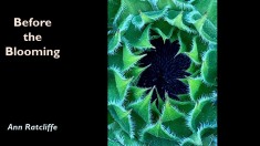 Slide46