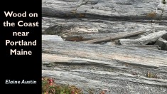 Slide5
