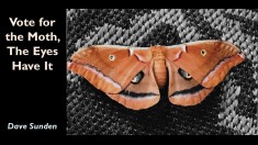 Slide52