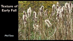 Slide53