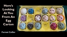 Slide11