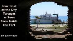 Slide31