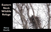Slide15
