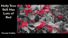 Slide10