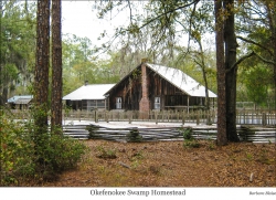 Homestead-A web